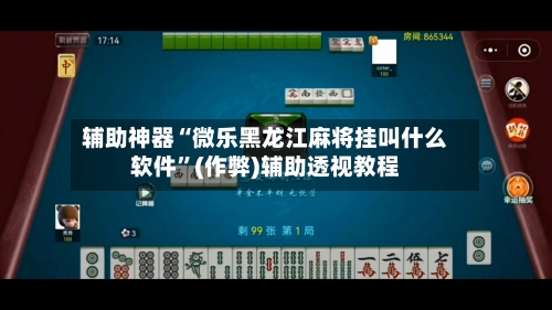 辅助神器“微乐黑龙江麻将挂叫什么软件	”(作弊)辅助透视教程-第3张图片