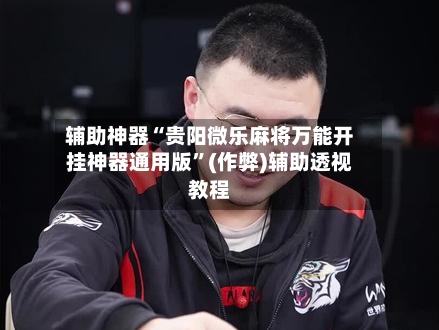 辅助神器“贵阳微乐麻将万能开挂神器通用版”(作弊)辅助透视教程