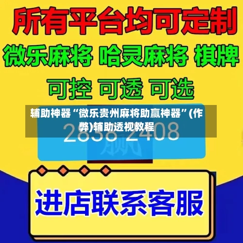 辅助神器“微乐贵州麻将助赢神器	”(作弊)辅助透视教程-第2张图片