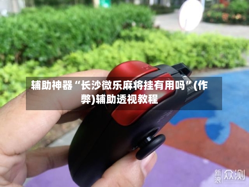 辅助神器“长沙微乐麻将挂有用吗”(作弊)辅助透视教程-第2张图片
