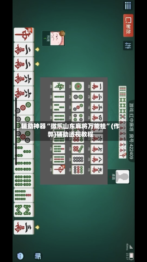 辅助神器“微乐山东麻将万能挂”(作弊)辅助透视教程-第3张图片