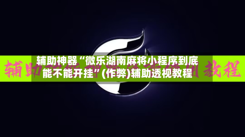 辅助神器“微乐湖南麻将小程序到底能不能开挂”(作弊)辅助透视教程-第3张图片
