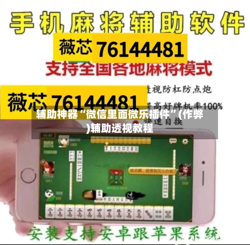 辅助神器“微信里面微乐插件”(作弊)辅助透视教程-第2张图片