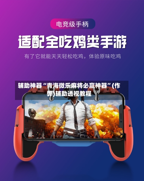 辅助神器“青海微乐麻将必赢神器”(作弊)辅助透视教程-第3张图片