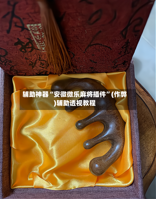 辅助神器“安徽微乐麻将插件”(作弊)辅助透视教程-第2张图片