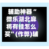 辅助神器“微乐湖北麻将有挂怎么买”(作弊)辅助透视教程-第2张图片