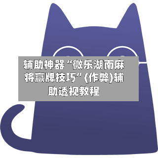 辅助神器“微乐湖南麻将赢牌技巧”(作弊)辅助透视教程