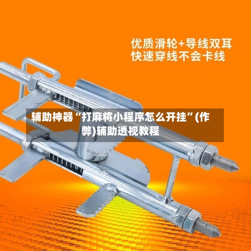 辅助神器“打麻将小程序怎么开挂”(作弊)辅助透视教程-第3张图片