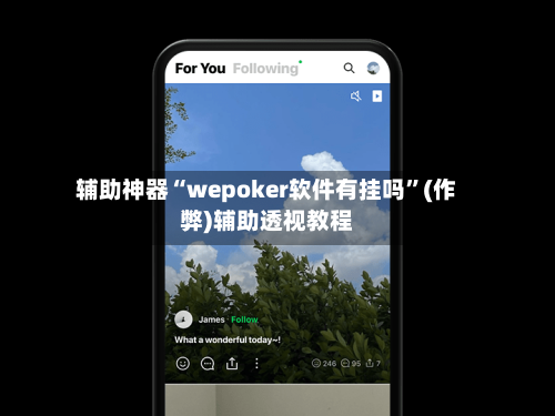 辅助神器“wepoker软件有挂吗”(作弊)辅助透视教程-第2张图片