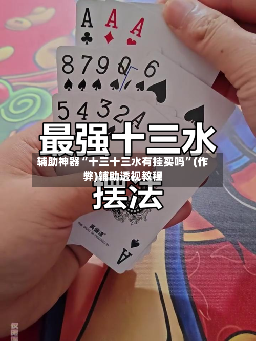 辅助神器“十三十三水有挂买吗”(作弊)辅助透视教程-第3张图片