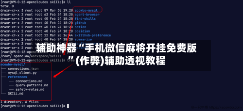 辅助神器“手机微信麻将开挂免费版”(作弊)辅助透视教程-第3张图片