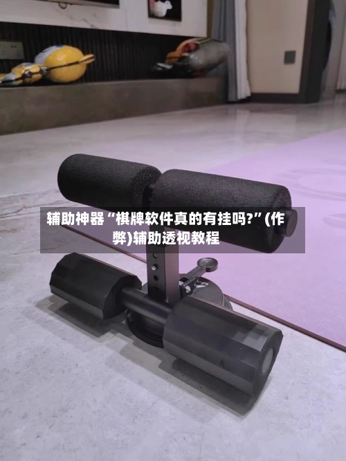 辅助神器“棋牌软件真的有挂吗?”(作弊)辅助透视教程
