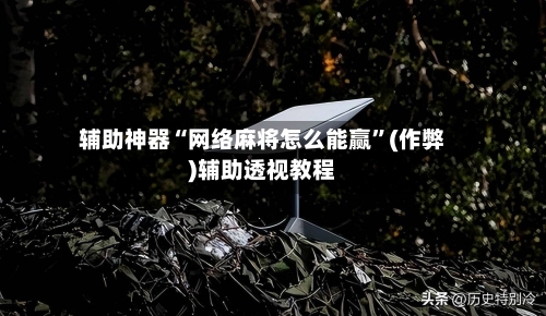 辅助神器“网络麻将怎么能赢	”(作弊)辅助透视教程-第2张图片