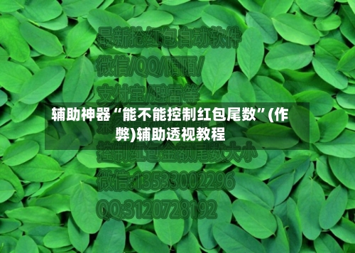 辅助神器“能不能控制红包尾数”(作弊)辅助透视教程-第2张图片