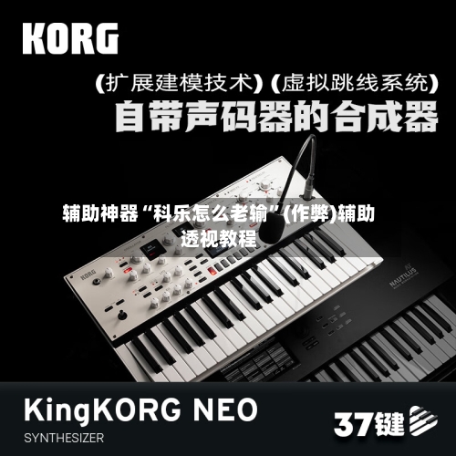 辅助神器“科乐怎么老输”(作弊)辅助透视教程-第3张图片