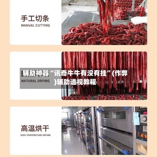 辅助神器“讯奇牛牛有没有挂”(作弊)辅助透视教程-第3张图片