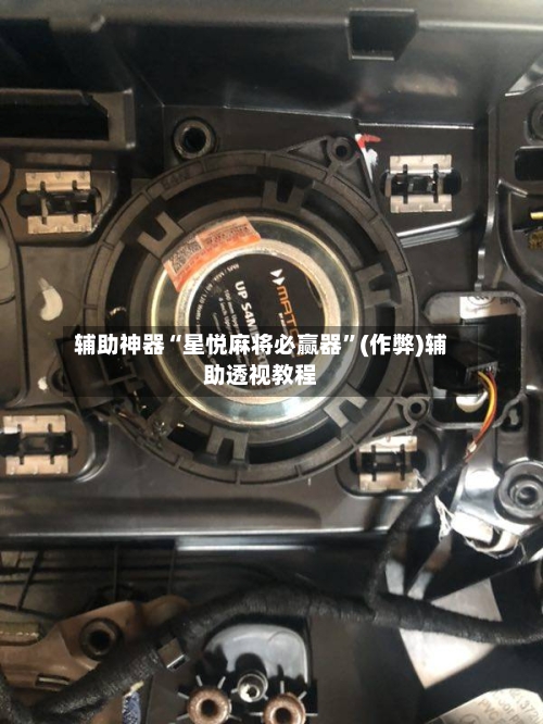 辅助神器“星悦麻将必赢器”(作弊)辅助透视教程-第2张图片