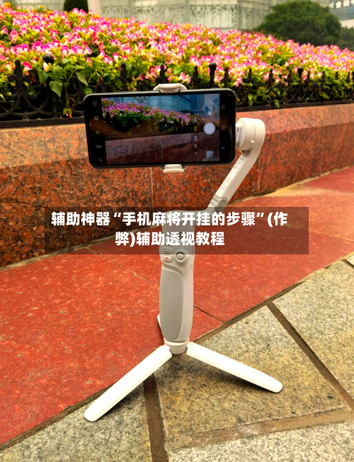 辅助神器“手机麻将开挂的步骤”(作弊)辅助透视教程-第3张图片