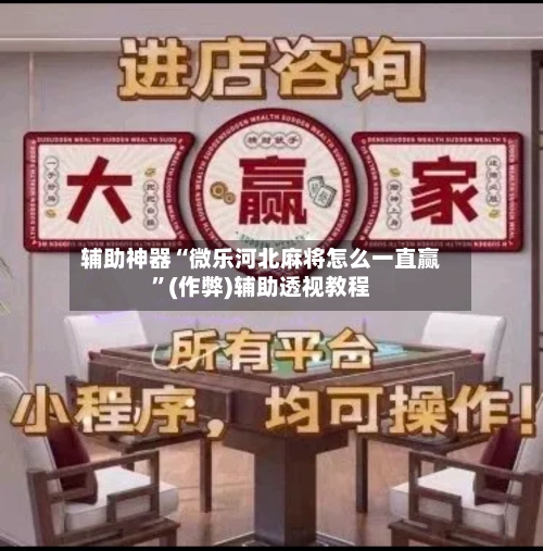 辅助神器“微乐河北麻将怎么一直赢”(作弊)辅助透视教程-第2张图片