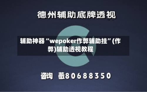 辅助神器“wepoker作弊辅助挂”(作弊)辅助透视教程-第2张图片