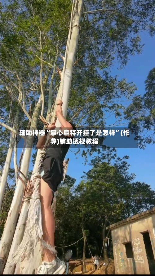 辅助神器“掌心麻将开挂了是怎样”(作弊)辅助透视教程-第3张图片