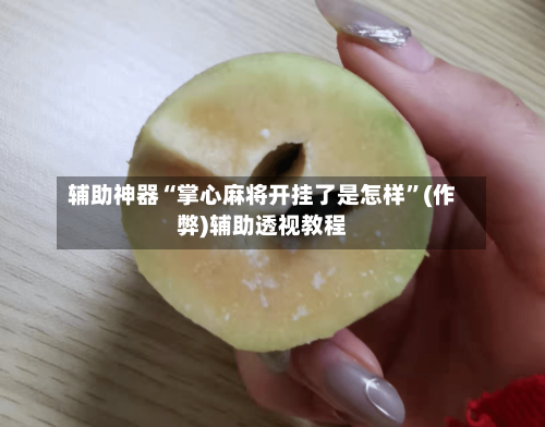 辅助神器“掌心麻将开挂了是怎样”(作弊)辅助透视教程