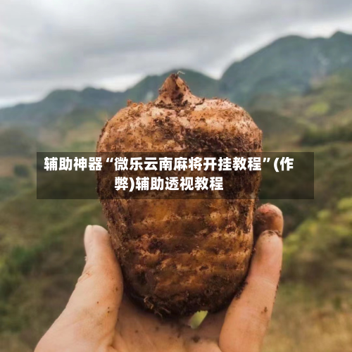 辅助神器“微乐云南麻将开挂教程”(作弊)辅助透视教程