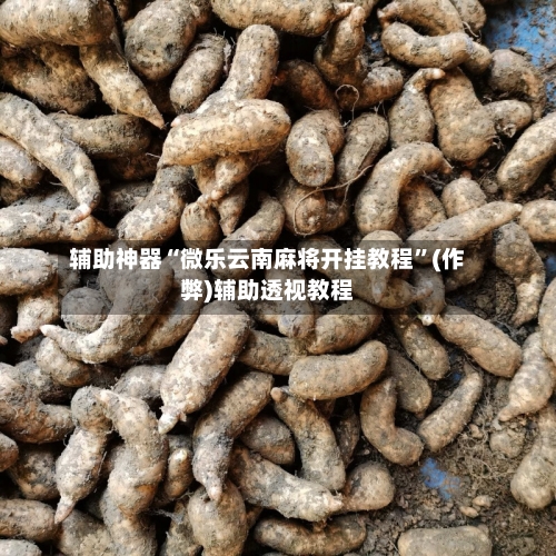 辅助神器“微乐云南麻将开挂教程”(作弊)辅助透视教程-第2张图片