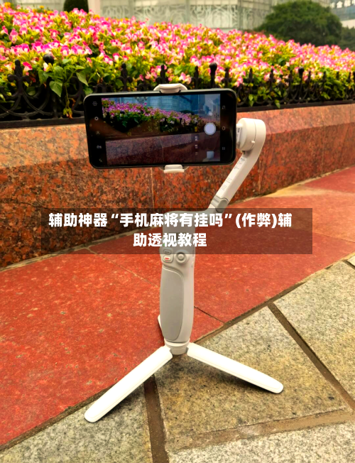辅助神器“手机麻将有挂吗”(作弊)辅助透视教程-第3张图片