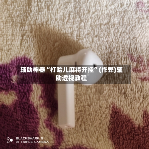 辅助神器“打哈儿麻将开挂”(作弊)辅助透视教程