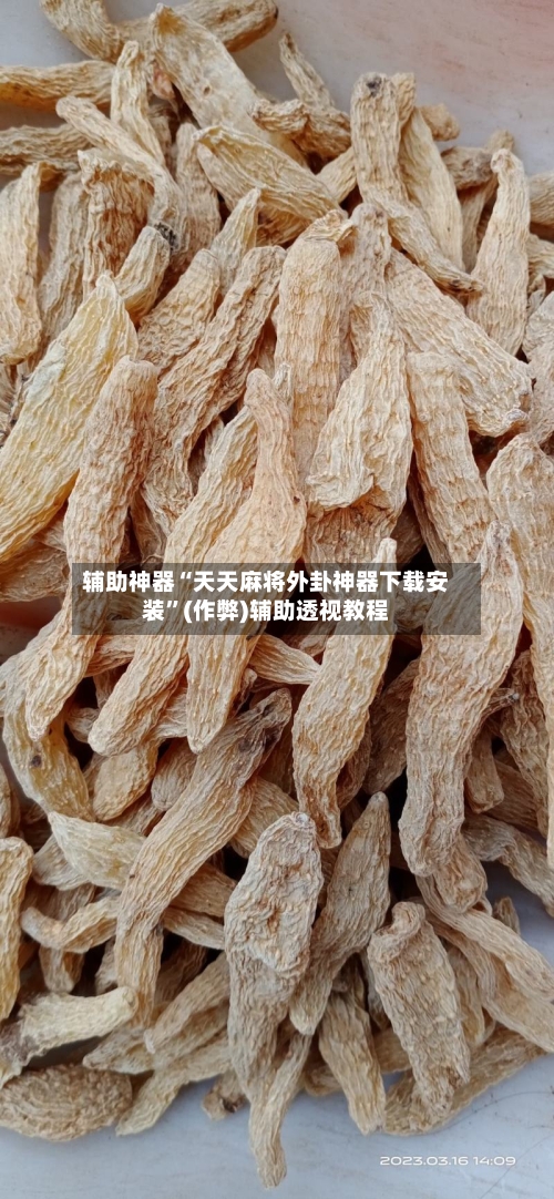 辅助神器“天天麻将外卦神器下载安装”(作弊)辅助透视教程