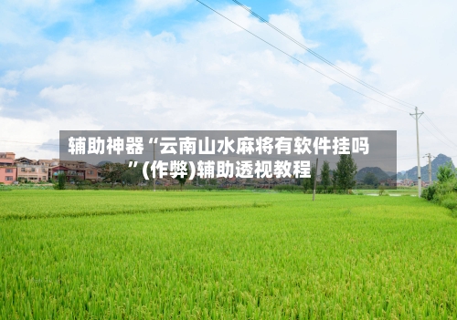 辅助神器“云南山水麻将有软件挂吗”(作弊)辅助透视教程