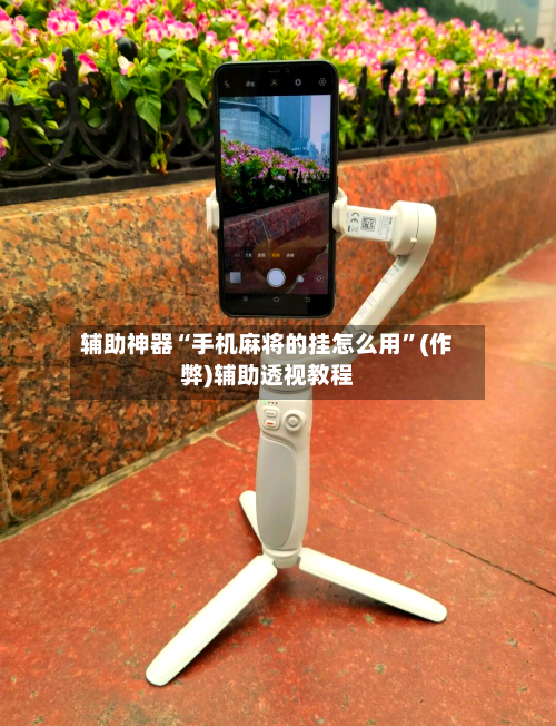 辅助神器“手机麻将的挂怎么用”(作弊)辅助透视教程-第2张图片