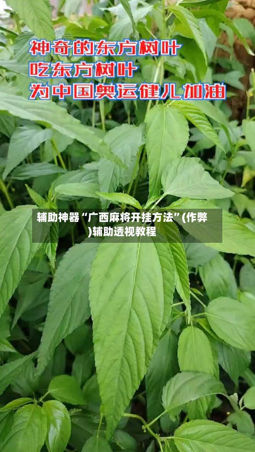 辅助神器“广西麻将开挂方法”(作弊)辅助透视教程