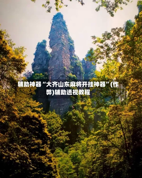 辅助神器“大齐山东麻将开挂神器”(作弊)辅助透视教程