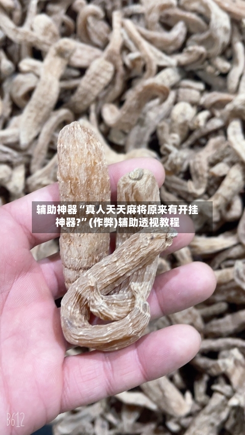 辅助神器“真人天天麻将原来有开挂神器?”(作弊)辅助透视教程