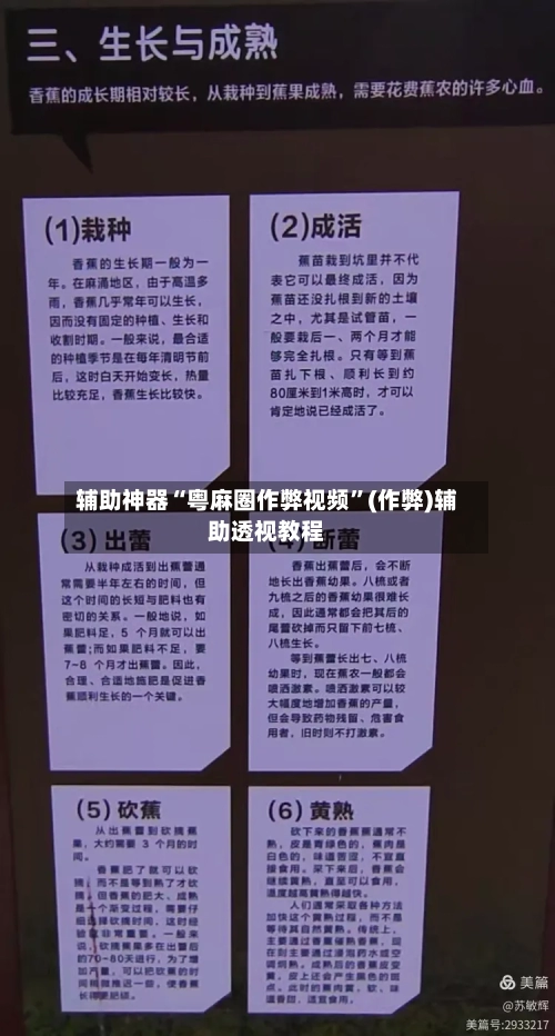 辅助神器“粤麻圈作弊视频”(作弊)辅助透视教程-第2张图片