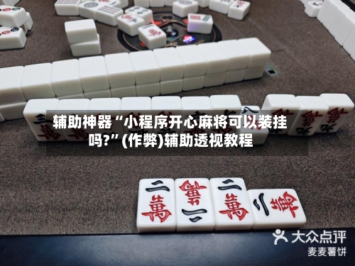 辅助神器“小程序开心麻将可以装挂吗?”(作弊)辅助透视教程-第2张图片