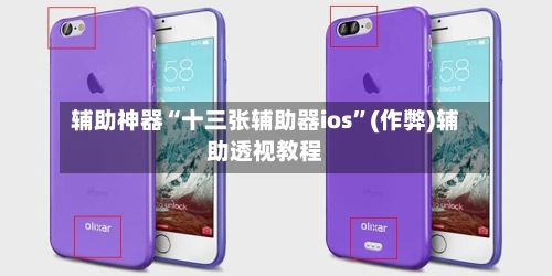 辅助神器“十三张辅助器ios”(作弊)辅助透视教程-第2张图片