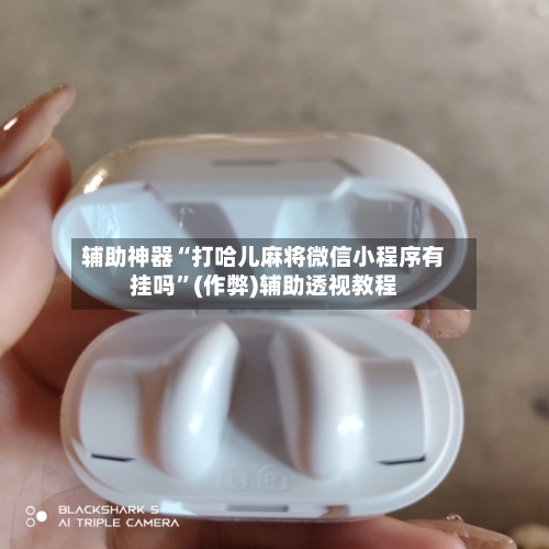 辅助神器“打哈儿麻将微信小程序有挂吗”(作弊)辅助透视教程