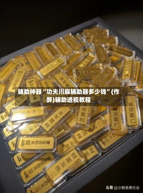 辅助神器“功夫川麻辅助器多少钱	”(作弊)辅助透视教程-第3张图片