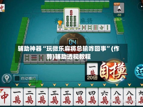 辅助神器“玩微乐麻将总输咋回事”(作弊)辅助透视教程