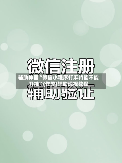 辅助神器“微信小程序打麻将能不能开挂	”(作弊)辅助透视教程-第3张图片
