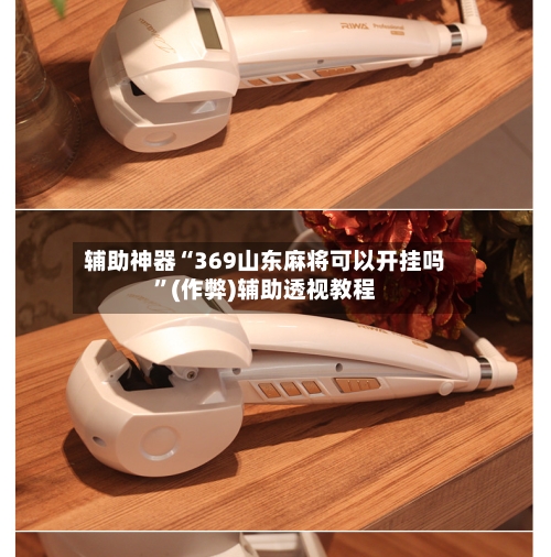 辅助神器“369山东麻将可以开挂吗”(作弊)辅助透视教程-第2张图片