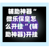 辅助神器“微乐保皇怎么开挂 ”(辅助神器)开挂详细教程