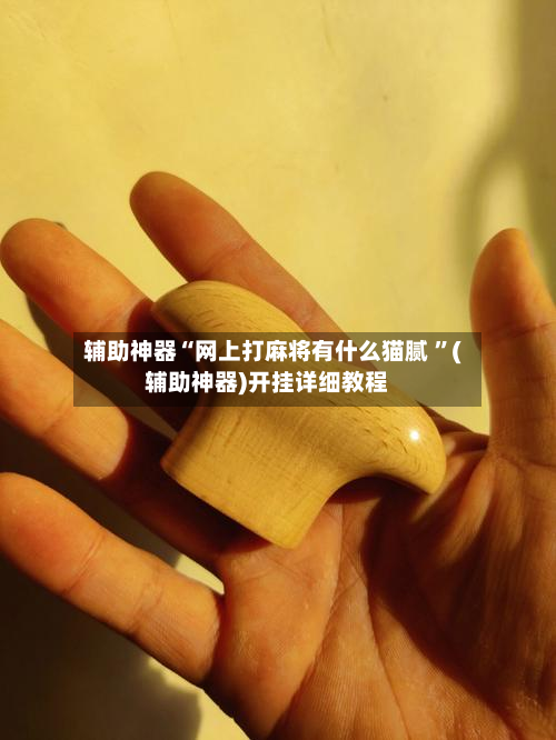 辅助神器“网上打麻将有什么猫腻 ”(辅助神器)开挂详细教程-第2张图片