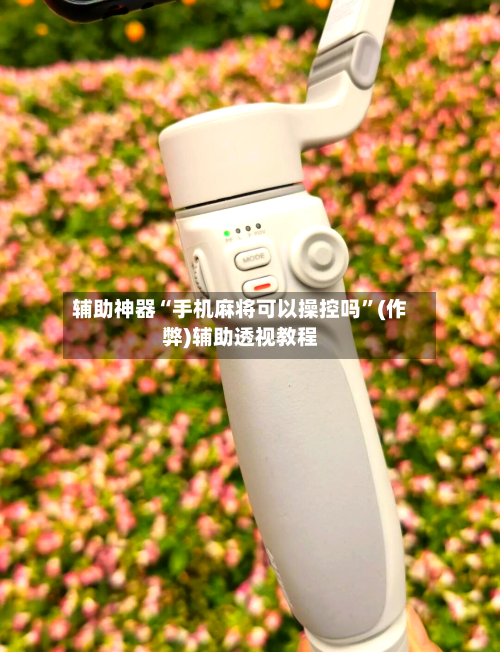 辅助神器“手机麻将可以操控吗	”(作弊)辅助透视教程-第2张图片
