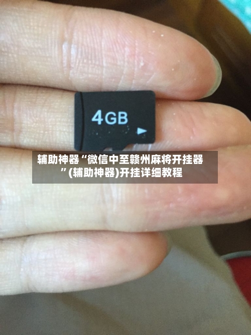 辅助神器“微信中至赣州麻将开挂器 ”(辅助神器)开挂详细教程
