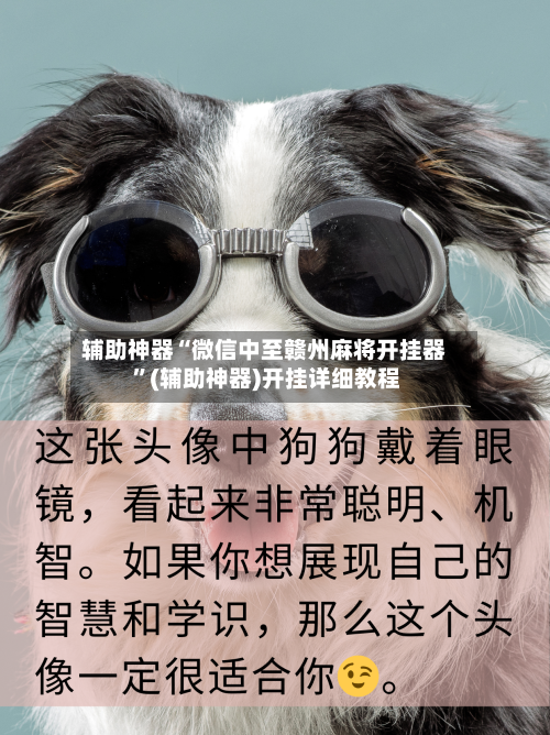 辅助神器“微信中至赣州麻将开挂器 ”(辅助神器)开挂详细教程-第2张图片