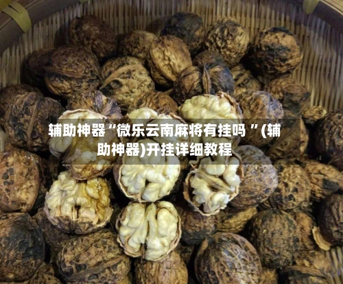 辅助神器“微乐云南麻将有挂吗 ”(辅助神器)开挂详细教程